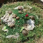 科尔卡加里克农业旅游旅馆 3* Drinovci