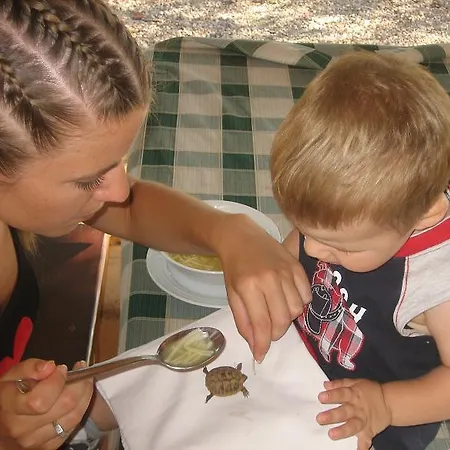 Agrotourism Galic Krka Konukevi