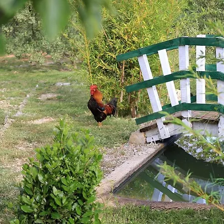 ゲストハウス Agrotourism Galic Krka 3*