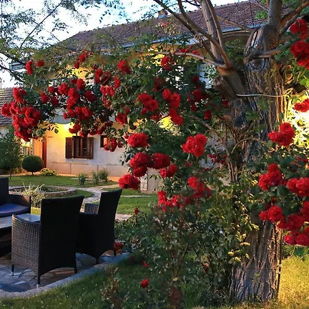 Agrotourism Galic Krka Konukevi Drinovci