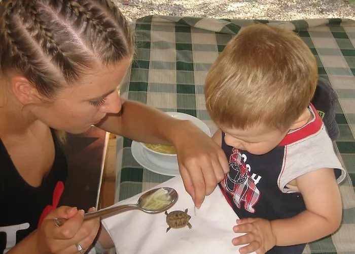 Agrotourism Galic Krka Πανσιόν