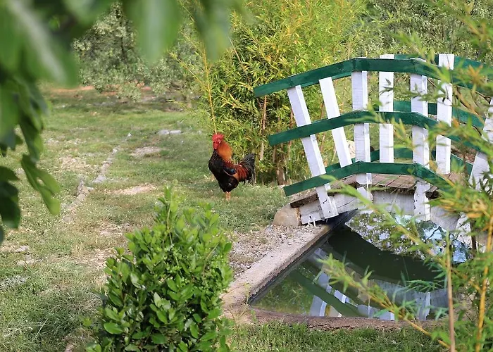 Πανσιόν Agrotourism Galic Krka 3*